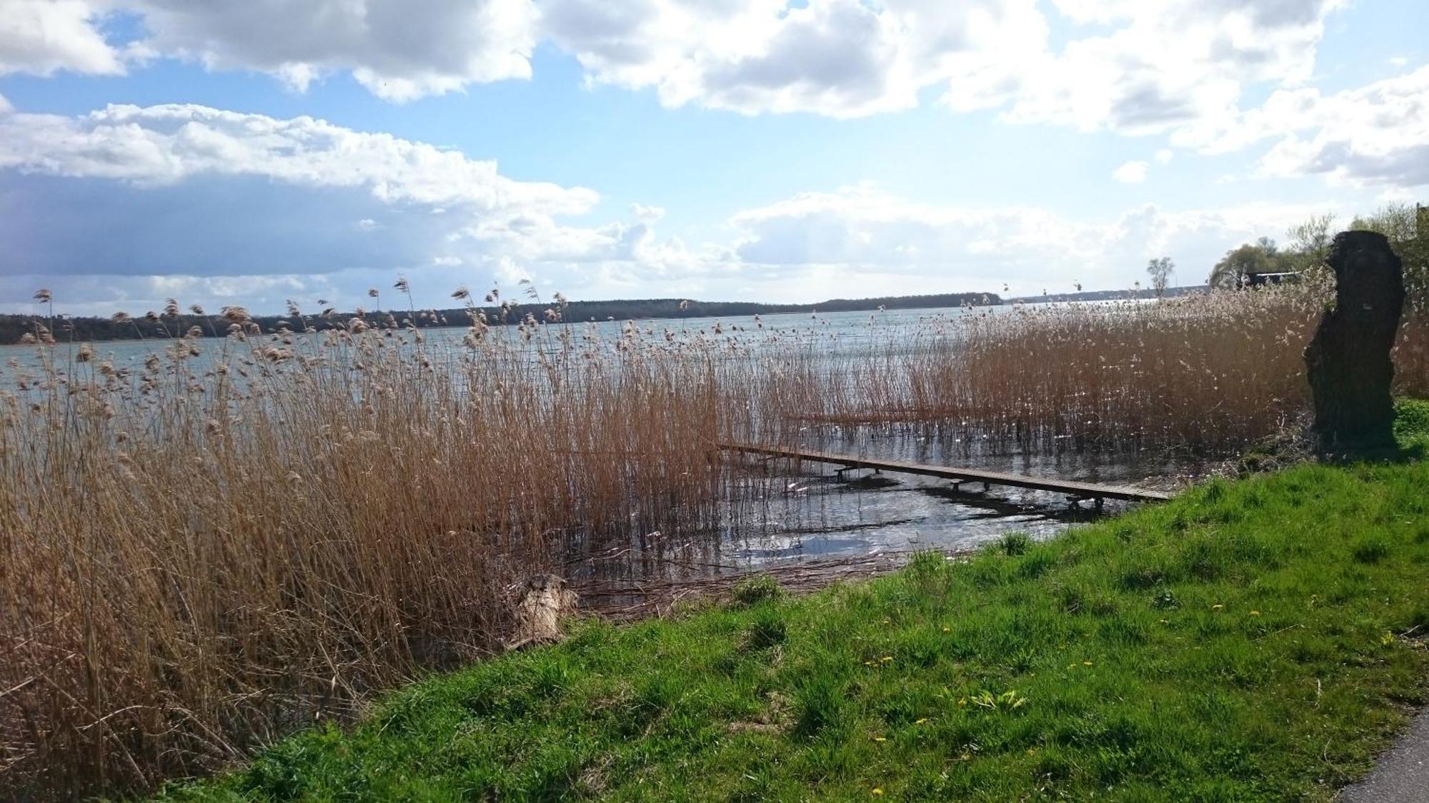 Idyll Im Land Der 1000 Seen Liessow  Eksteriør billede